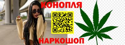 прущие крисы Ипатово