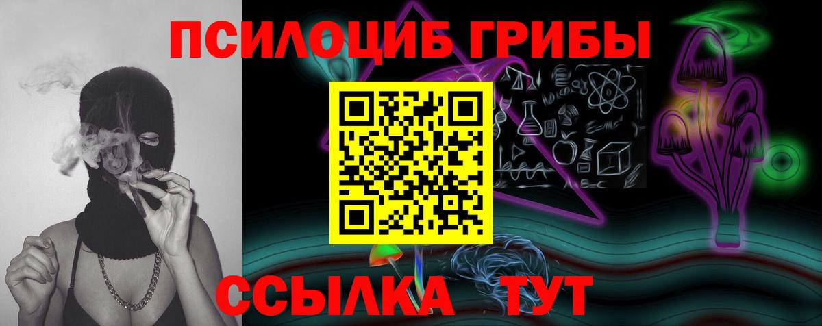 Галлюциногенные грибы прущие грибы  Вход с VPN  Ленинск-Кузнецкий 